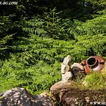 Relax Apartments: Mountain Venus * Smolyan
