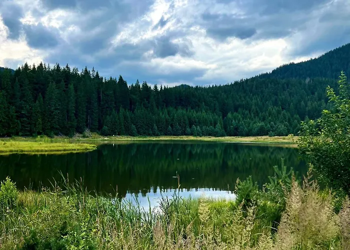 Relax Aпартаменти, смолянски езера, венера, к-с маунтин Daire Paşmaklı