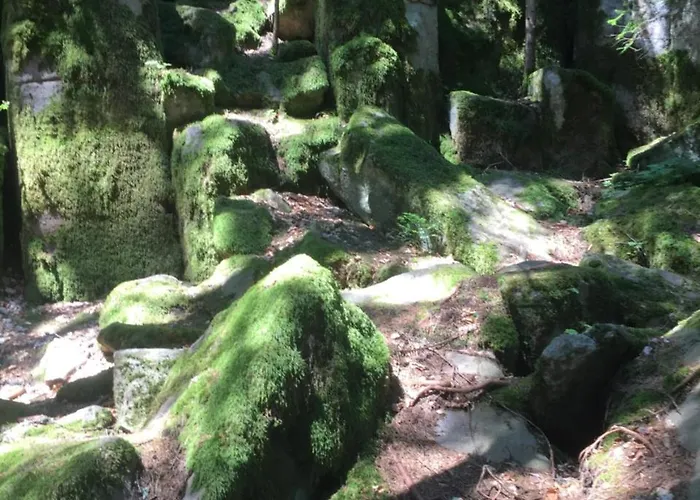 Relax Aпартаменти, смолянски езера, венера, к-с маунтин Daire Paşmaklı