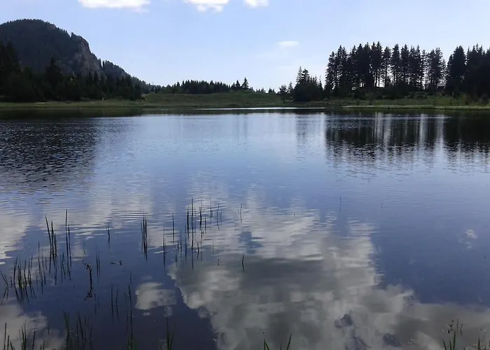 Relax Aпартаменти, смолянски езера, венера, к-с маунтин Paşmaklı